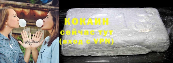 гашик Апатиты