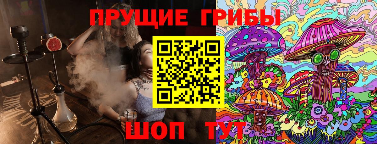 Псилоцибиновые грибы мицелий Салават